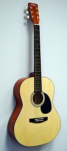 HOMAGE LF-3900   