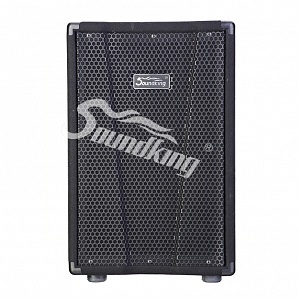 Soundking KJ15   , 300