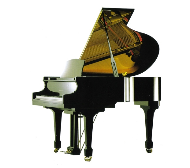 Samick SIG54D EBHP -  , 101x148x161, 310, -, .