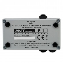 AMT P-1 Legend Amps   P1 (PV-5150