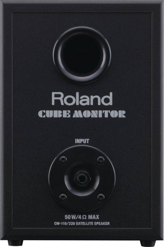 ROLAND CUBE-MONITOR-110  