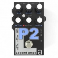 AMT P-2 Legend Amps 2   